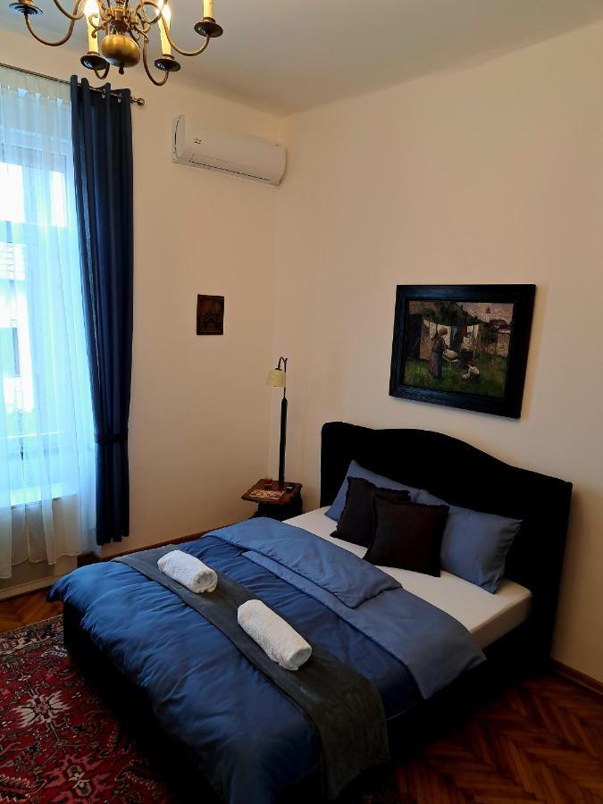 Weisz Apartment-City Center-Free Private Parking,Wifi,Ac Carei Exterior foto